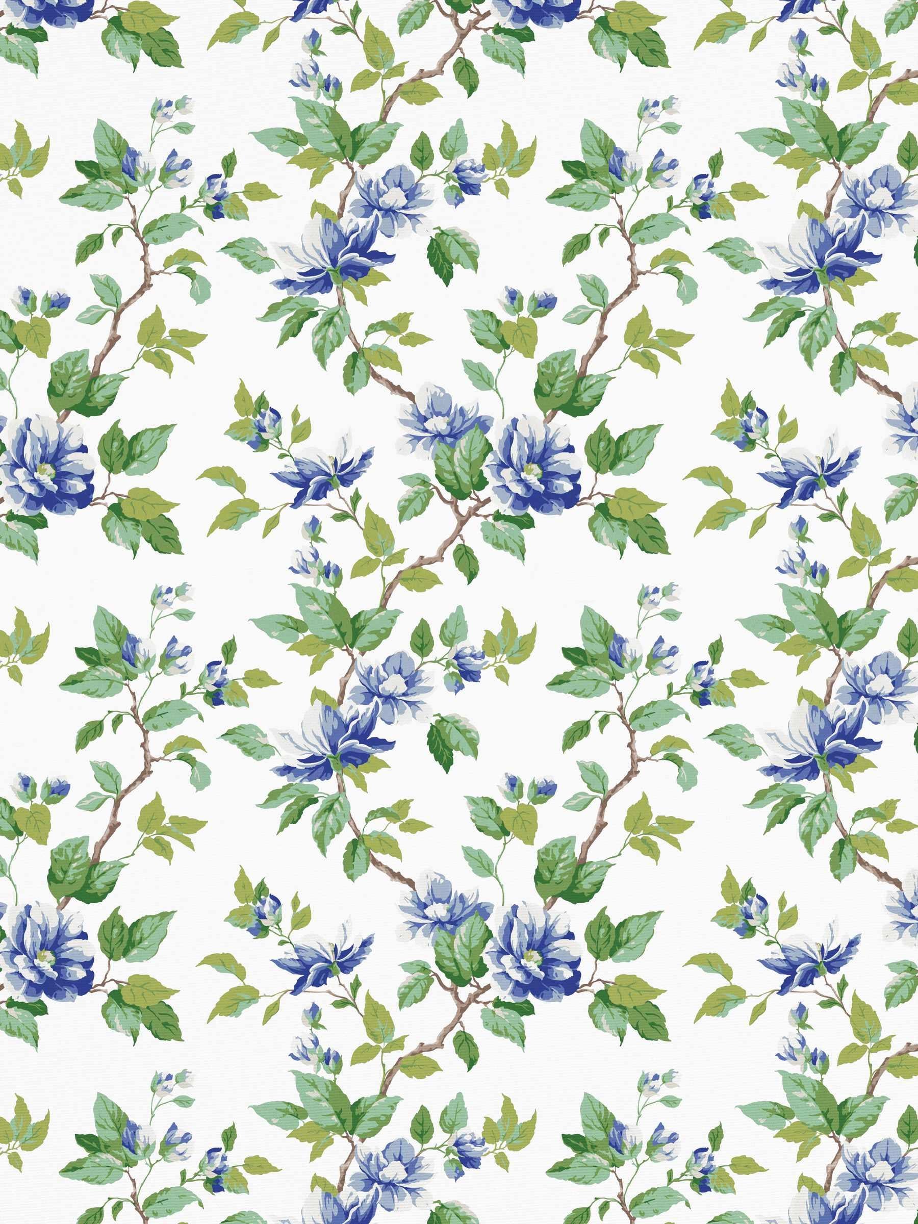 Bloom Season Larkspur