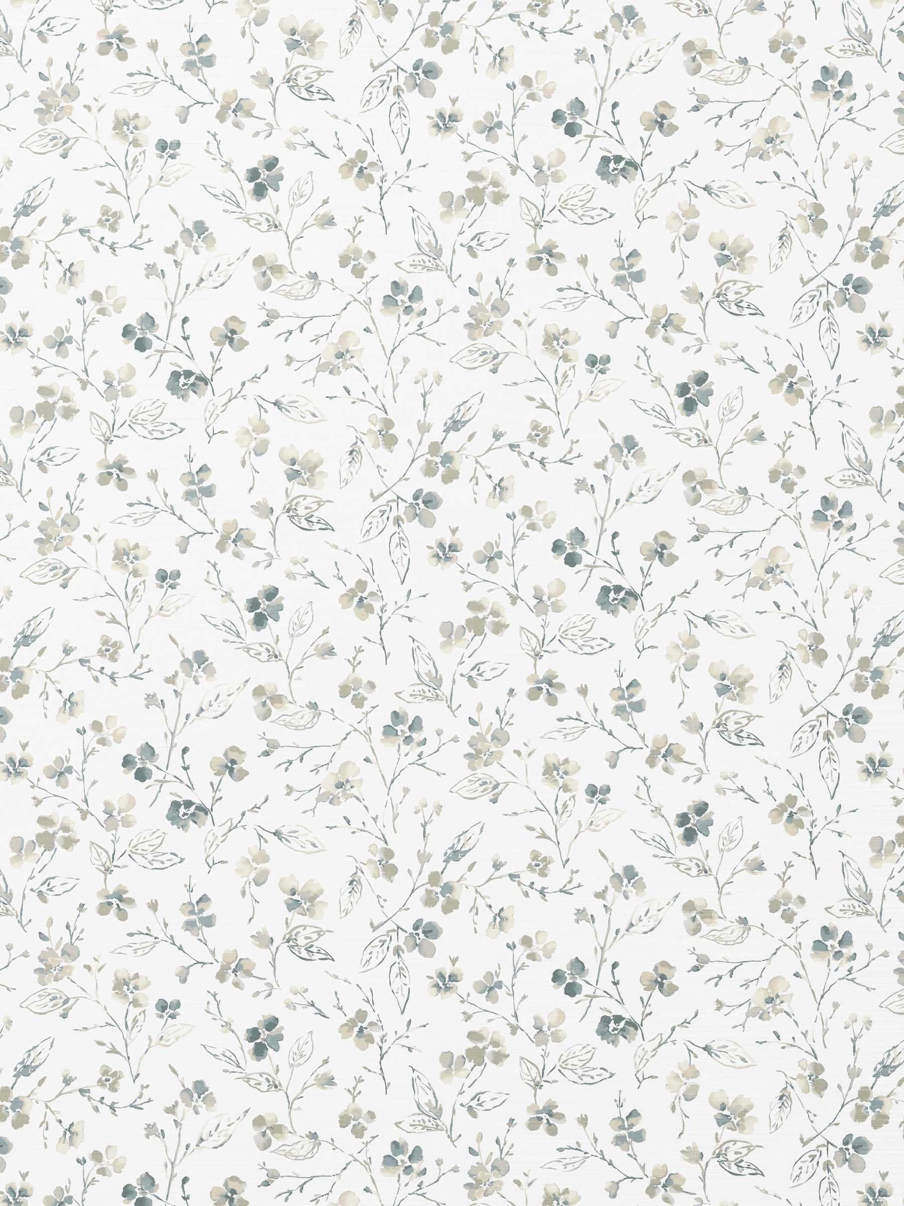 Fairchild Dusty Miller