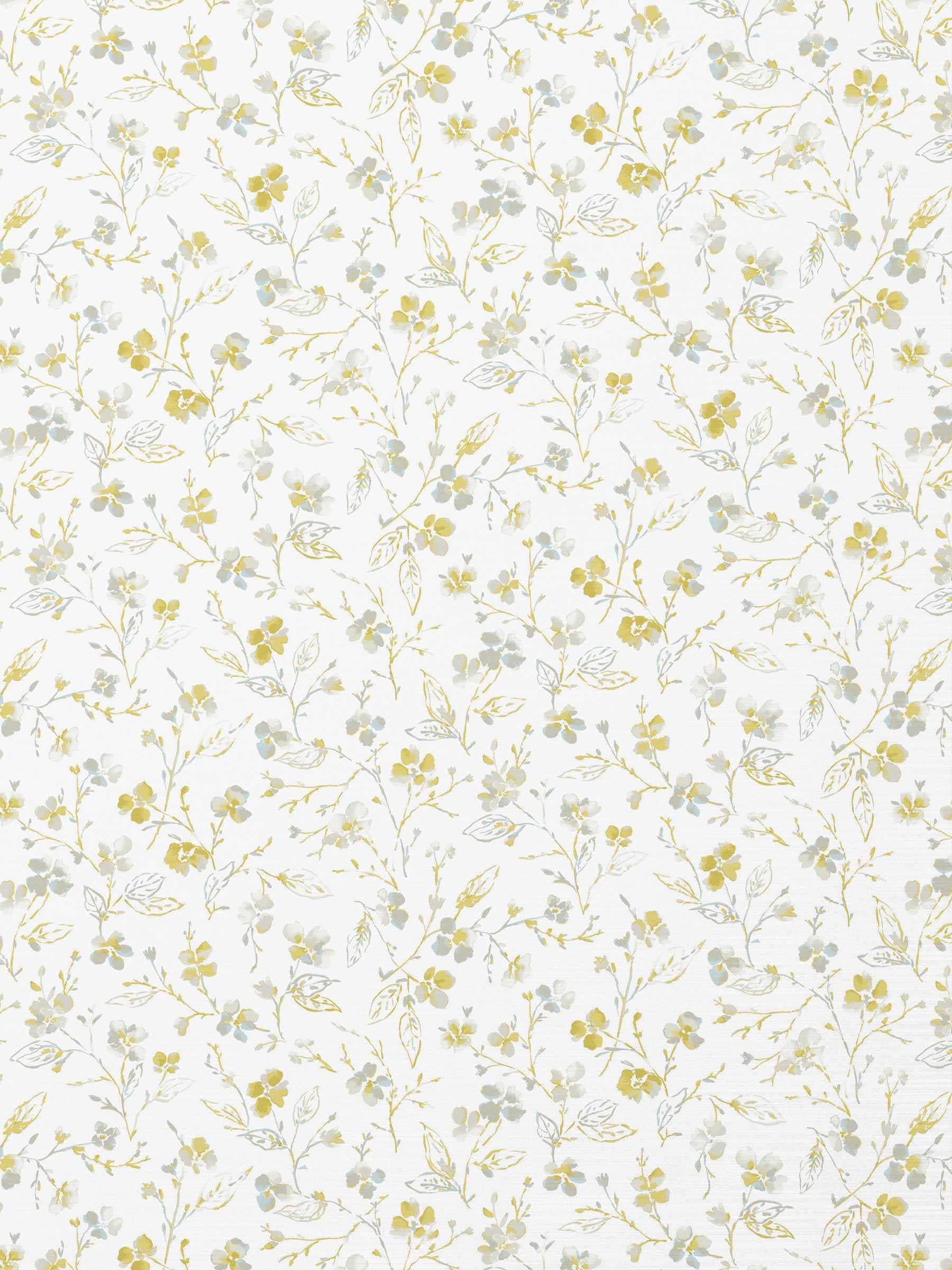 Fairchild Daisy